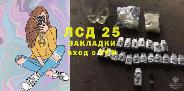 трава Медвежьегорск