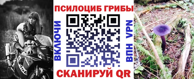 Купить  Рыбное  Галлюциногенные грибы мухоморы 